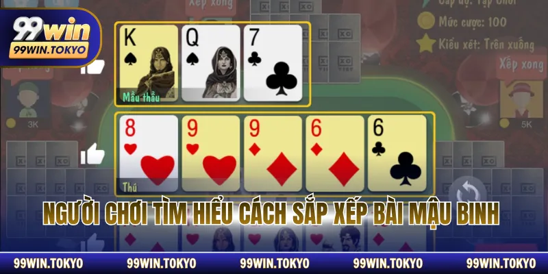 Người chơi tìm hiểu cách sắp xếp bài mậu binh